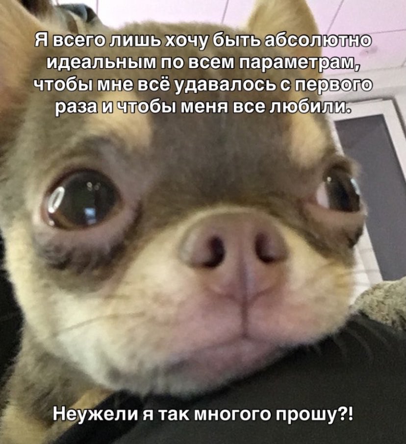 MartiGaskar's tweet photo. https://t.co/JB2YCxXF5i
