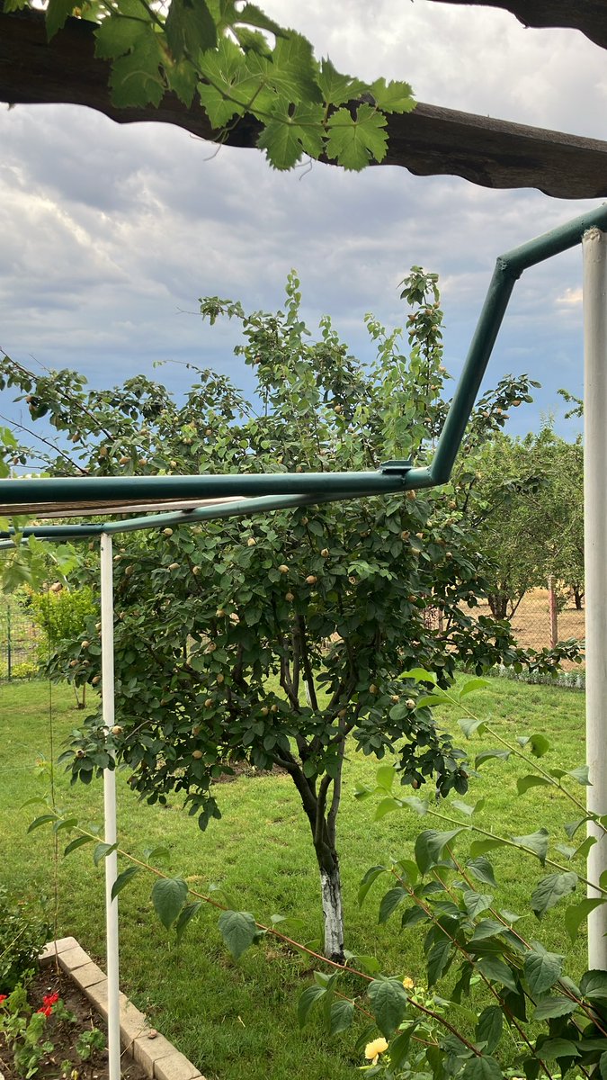 esraakbasak's tweet photo. @HavaForum Edirneden bildiriyorum balkanlardan geleceği beklenen yağışlı hava sınırdan giriş yaptı 🤭 https://t.co/DeWWO8NLus
