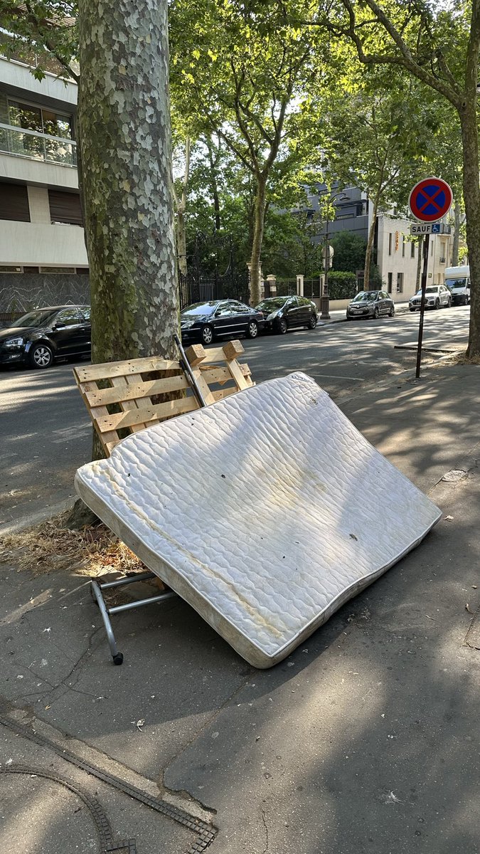 EricKLein_'s tweet photo. Je savais qu’il n’y avait rien à attendre de la nouvelle équipe municipale socialocommuniste mais après quelques temps absent de Paris je ne m’imaginais pas que la ville puisse être dans un tel état de délabrement. Les rues sont littéralement transformées en décharge à ciel ouvert, ce qui reste de végétation est cramé, des mecs avinés partout. Les parisiens ont voté à l’arrache pour une bande d’incapables.