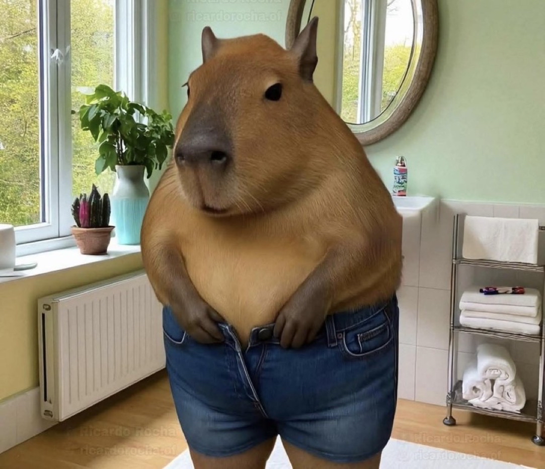 Guarromantico_'s tweet photo. Cuando me doy cuenta que ya soy talla capibara. https://t.co/vPPYyZ2WT1