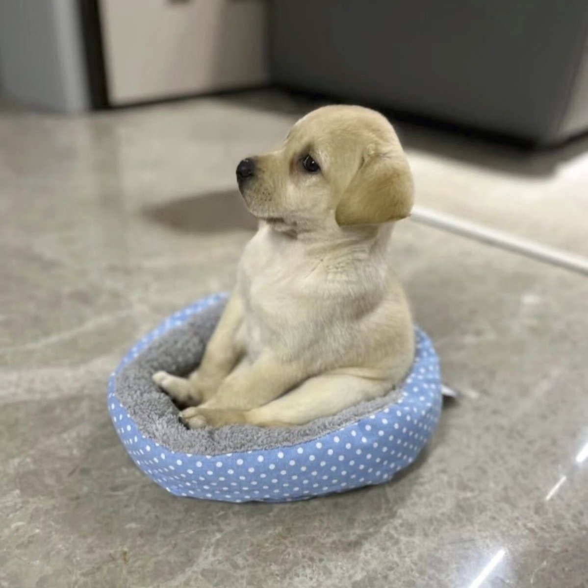 twaniimals's tweet photo. https://t.co/kni5gqxs0i