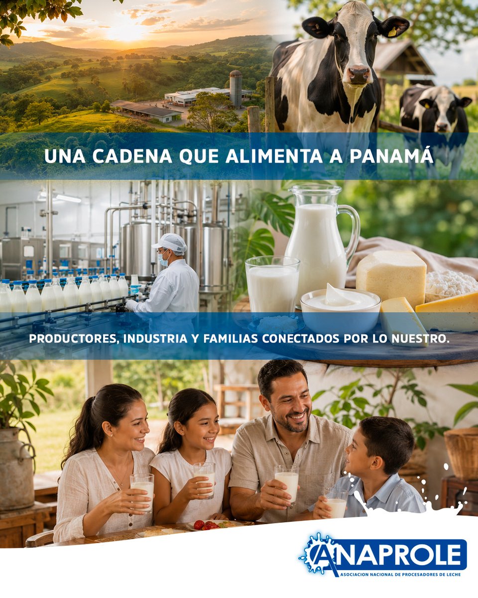 AnaprolePanama's tweet photo. Detrás de cada vaso de leche, queso o producto lácteo hay una cadena que trabaja con compromiso por Panamá. 🇵🇦🥛

Desde ANAPROLE impulsamos una producción láctea más fuerte, conectada y orgullosa de lo nuestro.

#ANAPROLE #LácteosPanamá #ProducciónNacional https://t.co/ouFkOvnlKw