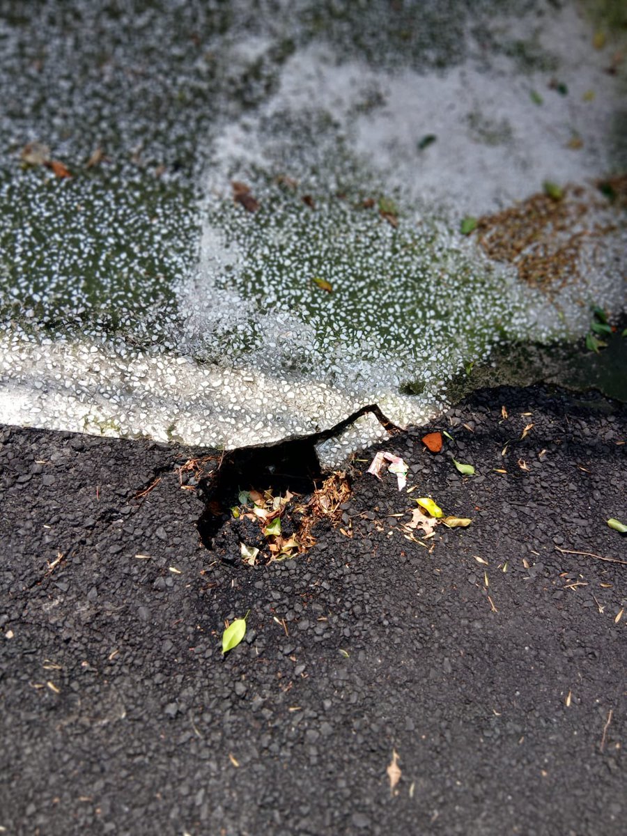 TheRealJSGjr's tweet photo. El agujero continúa creciendo con cada lluvia, vivimos en una zona de mi as de arena y se está deslavando el piso , es un SERIO #PELIGRO @AlcaldiaAO @LopezCasarinJ  agradecemos su pronta atención https://t.co/mjmEC4HkzQ