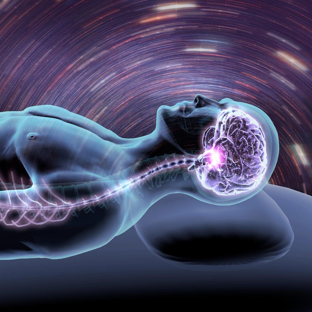 NightSkyToday's tweet photo. JUST IN🚨: Human Brains Can Solve Hard Problems Moments Before Falling Asleep, Study Finds. https://t.co/sUiuDxpxkJ