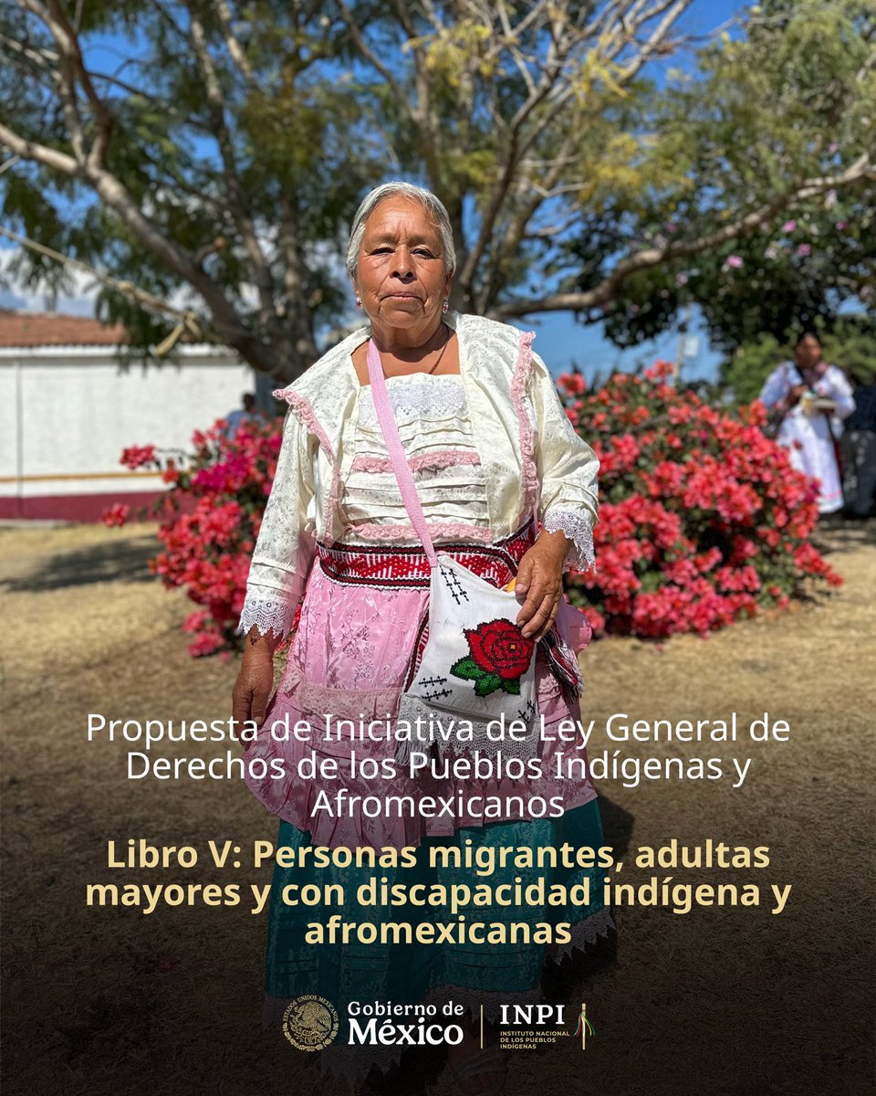 INPImx's tweet photo. La Propuesta de Iniciativa de Ley General de Derechos de los Pueblos Indígenas y Afromexicanos fortalece la protección de los derechos de las personas migrantes, adultas mayores y con discapacidad indígenas y afromexicanas, colocando su dignidad e inclusión en el centro de la acción pública.

El Libro V: Personas migrantes, adultas mayores y con discapacidad indígena y afromexicanas determina sus derechos individuales para garantizar su inclusión y su desarrollo integral con justicia y dignidad.

📖 Consulta la Propuesta de Iniciativa de Ley: https://t.co/5j8vibRfk7