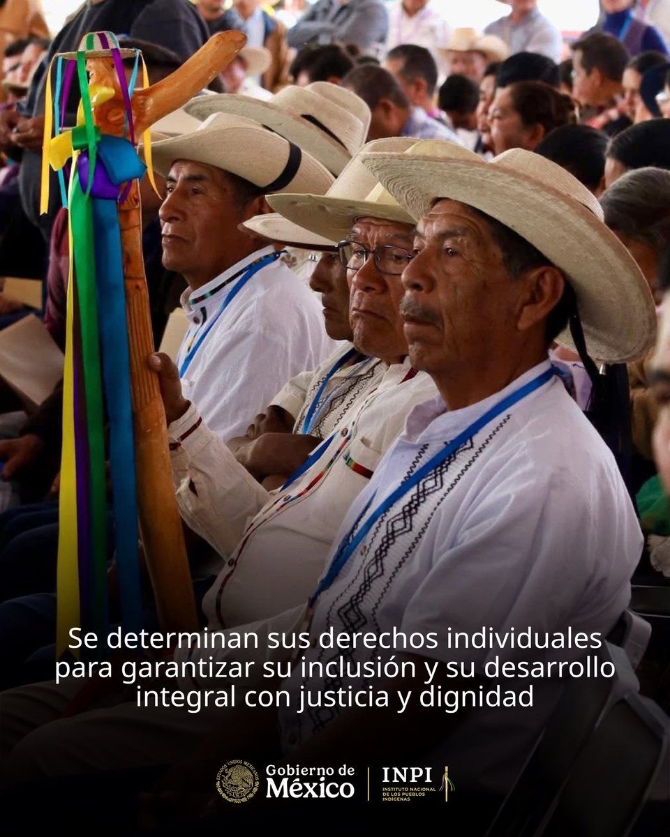 INPImx's tweet photo. La Propuesta de Iniciativa de Ley General de Derechos de los Pueblos Indígenas y Afromexicanos fortalece la protección de los derechos de las personas migrantes, adultas mayores y con discapacidad indígenas y afromexicanas, colocando su dignidad e inclusión en el centro de la acción pública.

El Libro V: Personas migrantes, adultas mayores y con discapacidad indígena y afromexicanas determina sus derechos individuales para garantizar su inclusión y su desarrollo integral con justicia y dignidad.

📖 Consulta la Propuesta de Iniciativa de Ley: https://t.co/5j8vibRfk7