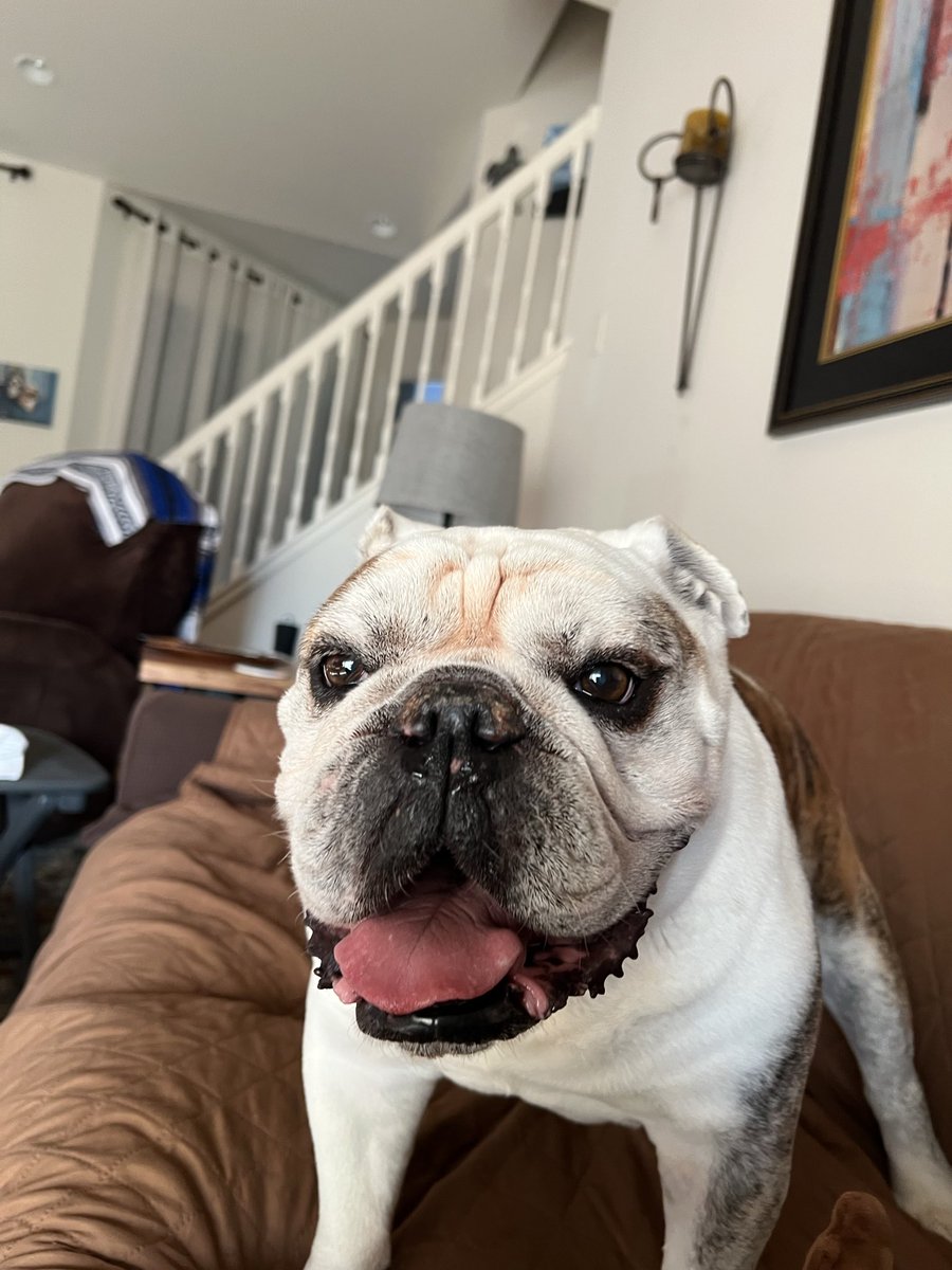 okdestiin's tweet photo. forever and always my little man ♥️ https://t.co/9CAQ48qtwN