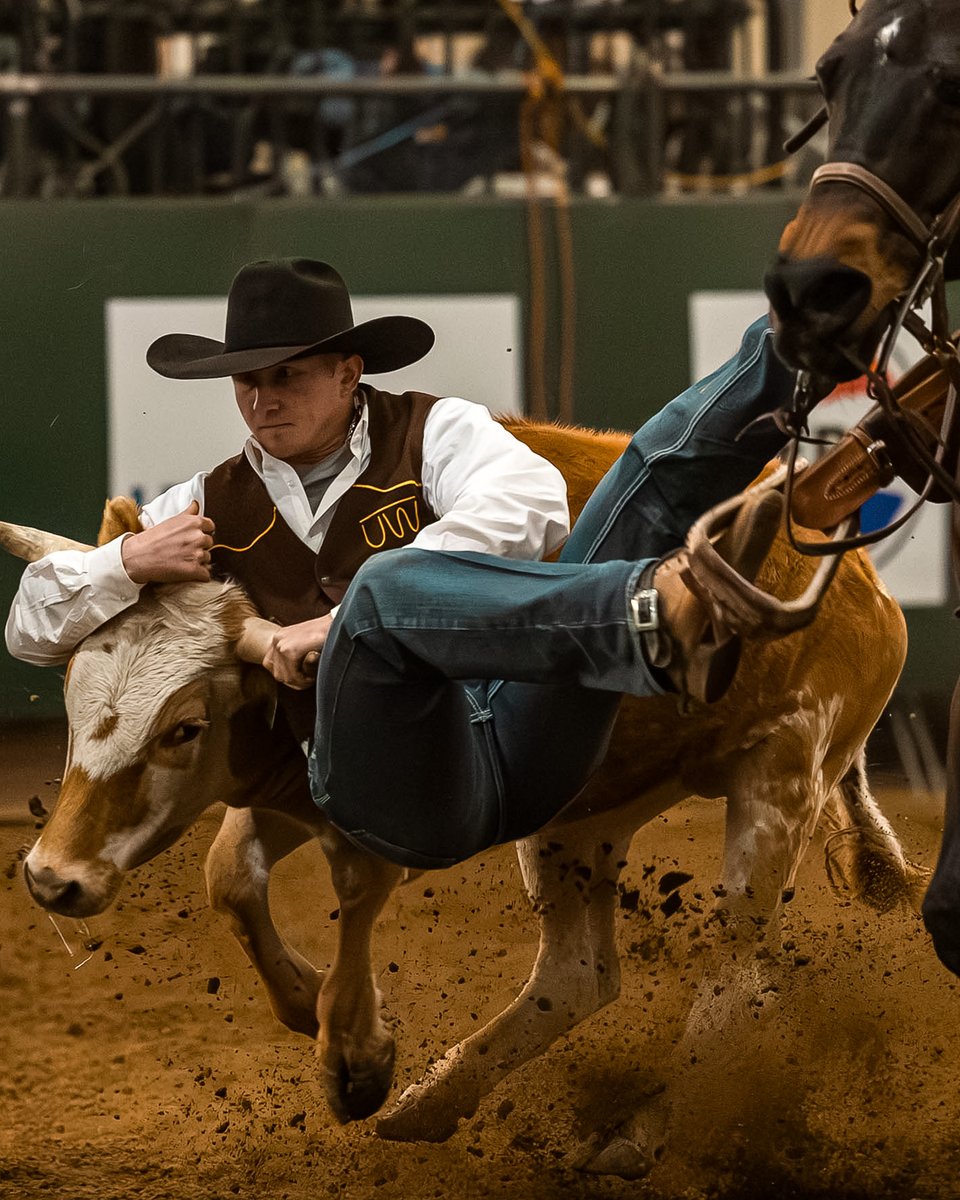 PBR's tweet photo. Representing more than themselves 🤝

📍𝐂𝐒𝐔 𝐁𝐔𝐋𝐋𝐒 𝐀𝐍𝐃 𝐁𝐄𝐀𝐓𝐒 | Fort Collins, CO⁣
📺 @foxnation 9PM ET https://t.co/jDZle1VUF3