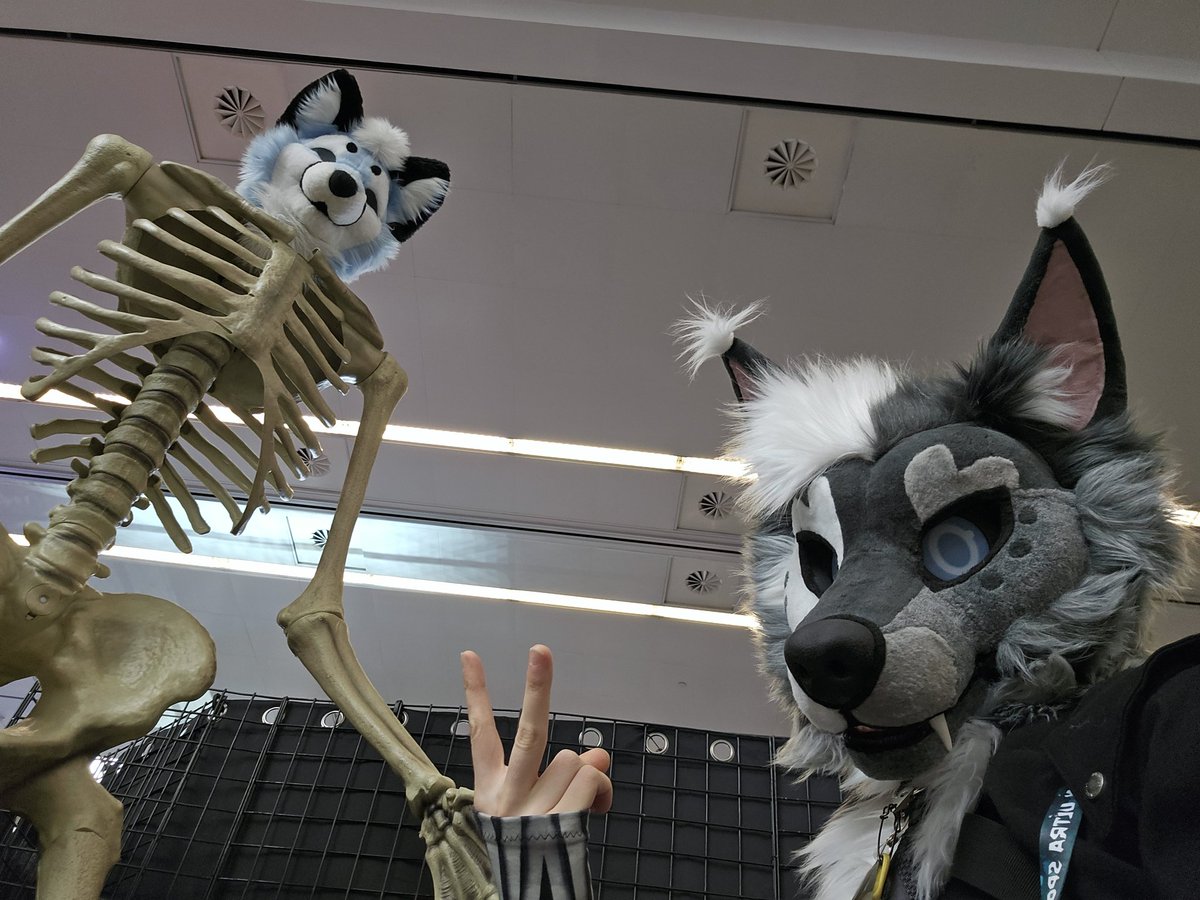 __Renier's tweet photo. Had an utter riot at #Anthrocon 2026 end to end, immensely grateful for another year with such amazing company.

For the traditions and relationships we continue, all experiences and wonderful faces new, best of all getting to jam out there with you

Happy belated Anthrocon day! https://t.co/DeyC6mnJck