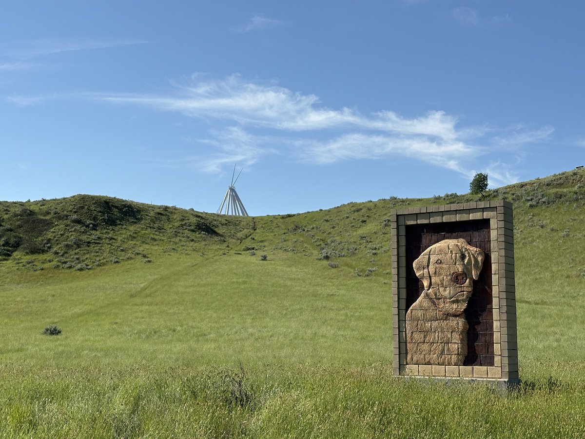 HatLawnBowler's tweet photo. Wednesday morning. #medhat #SummerInAlberta #sharethetrailMH https://t.co/VceObmAFFo