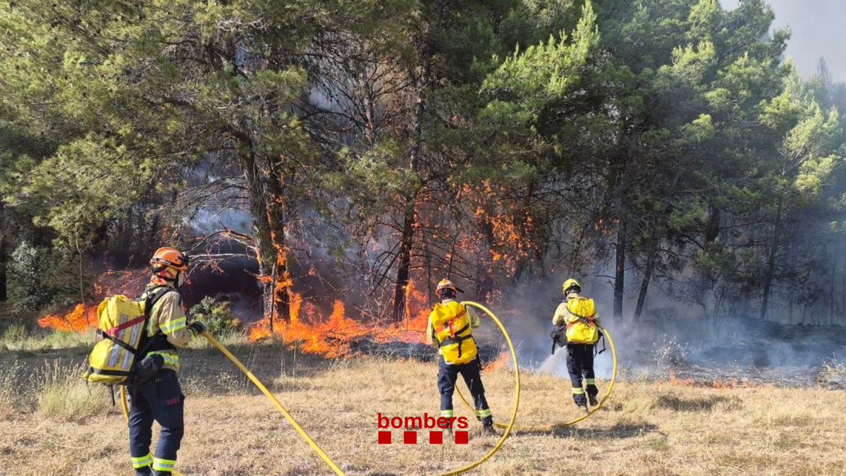 VOSTcat's tweet photo. També estan tallades  la T-244 a Aiguamúrcia i la TP-2442 al Montmell, cruïlla amb la TV-2443 https://t.co/x48se0CTXK