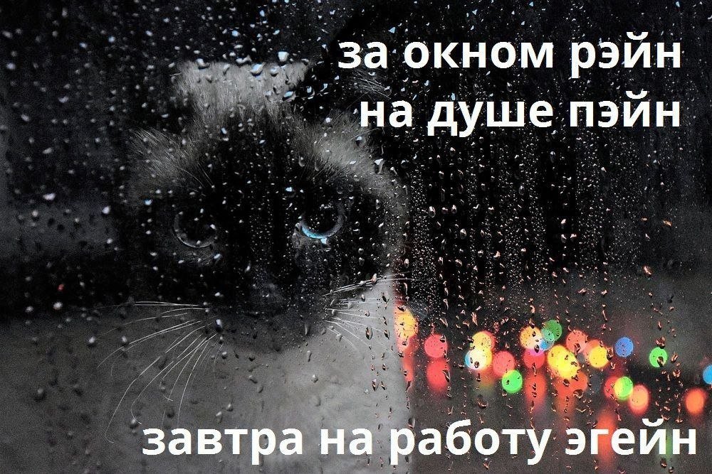 catsilcats's tweet photo. https://t.co/nyQv3m6ofG