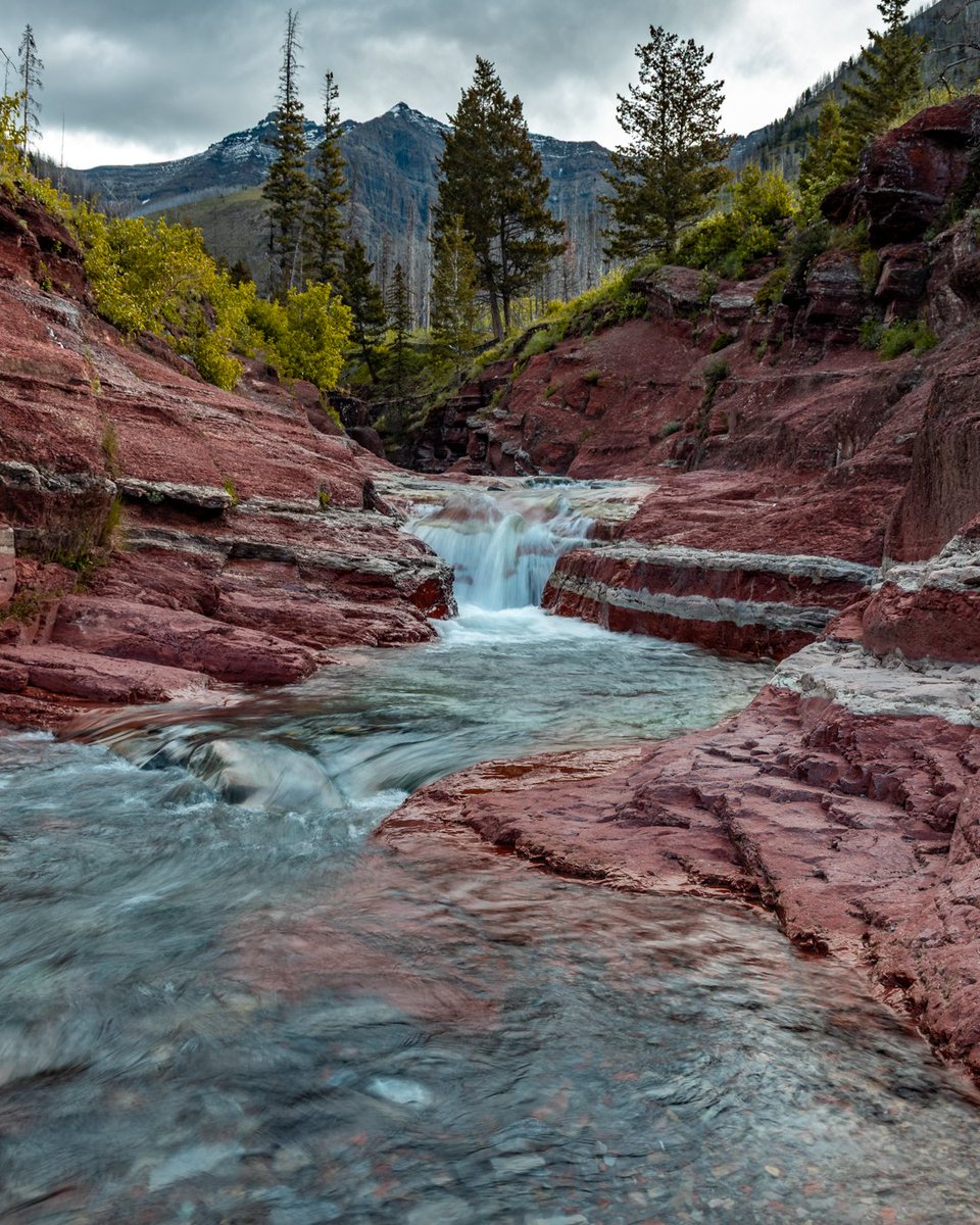 danschyk's tweet photo. Red Rock Canyon, Waterton Lakes NP https://t.co/JWDyGBcnHa