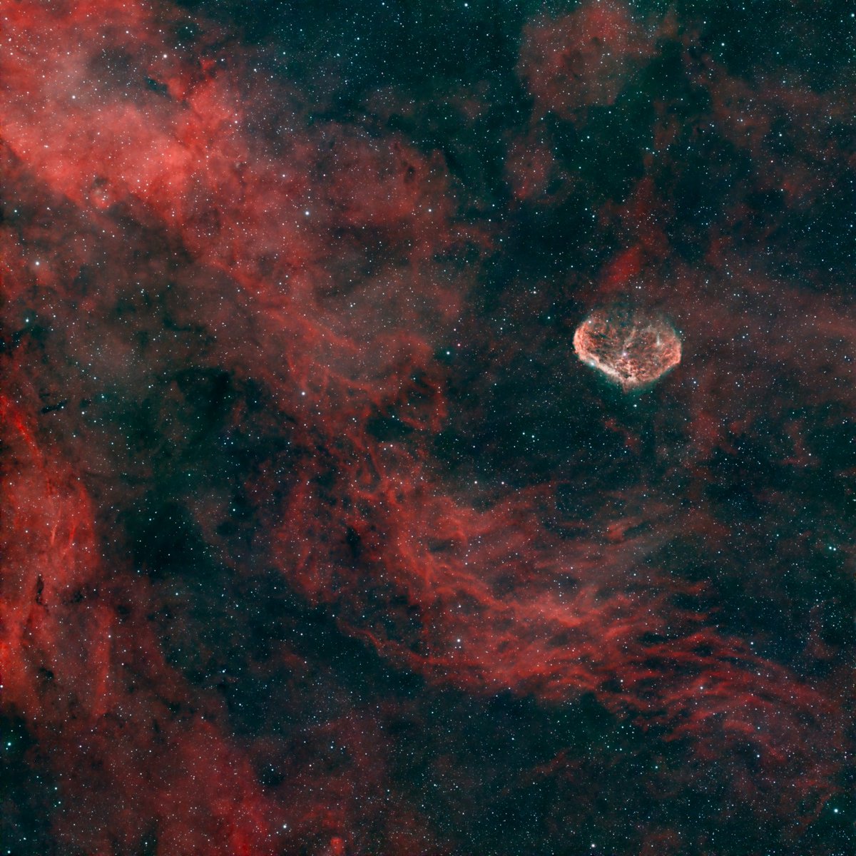 AstroMontseny's tweet photo. MERAVELLES DEL CEL PROFUND: Tenir cura del cel fosc permet captar nebuloses com la de la Mitja Lluna #NGC6888 a la constel·lació de #Cignus. Creada pel vent estel·lar de l'estel Wolf-Rayet star WR 136 a 5.000 anys de llum
Pau Montplet @AstroBreda el dissabte 4 Jul., a Hortsavinyà https://t.co/766yW6mnU8