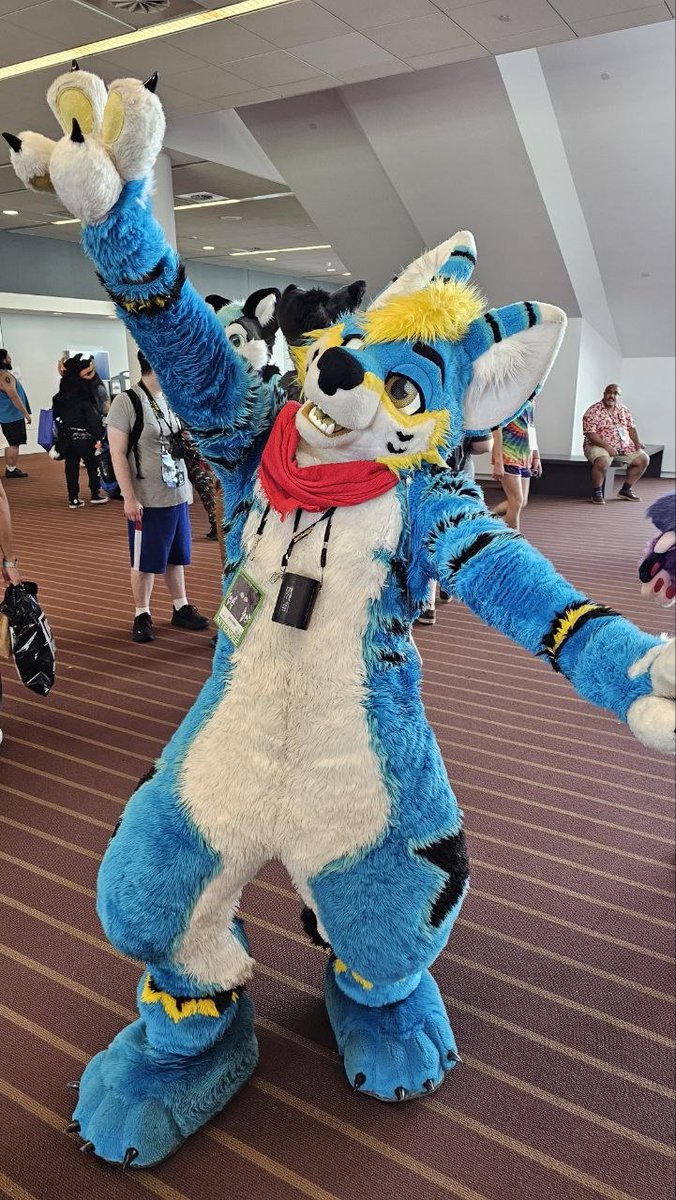 lemonbrat's tweet photo. Some cell snaps from the Lemonbrat photoshoot at Anthrocon 2026! Loads of fun! The pro pics are coming soon. 😁❤️ https://t.co/KUpcyhyfzG