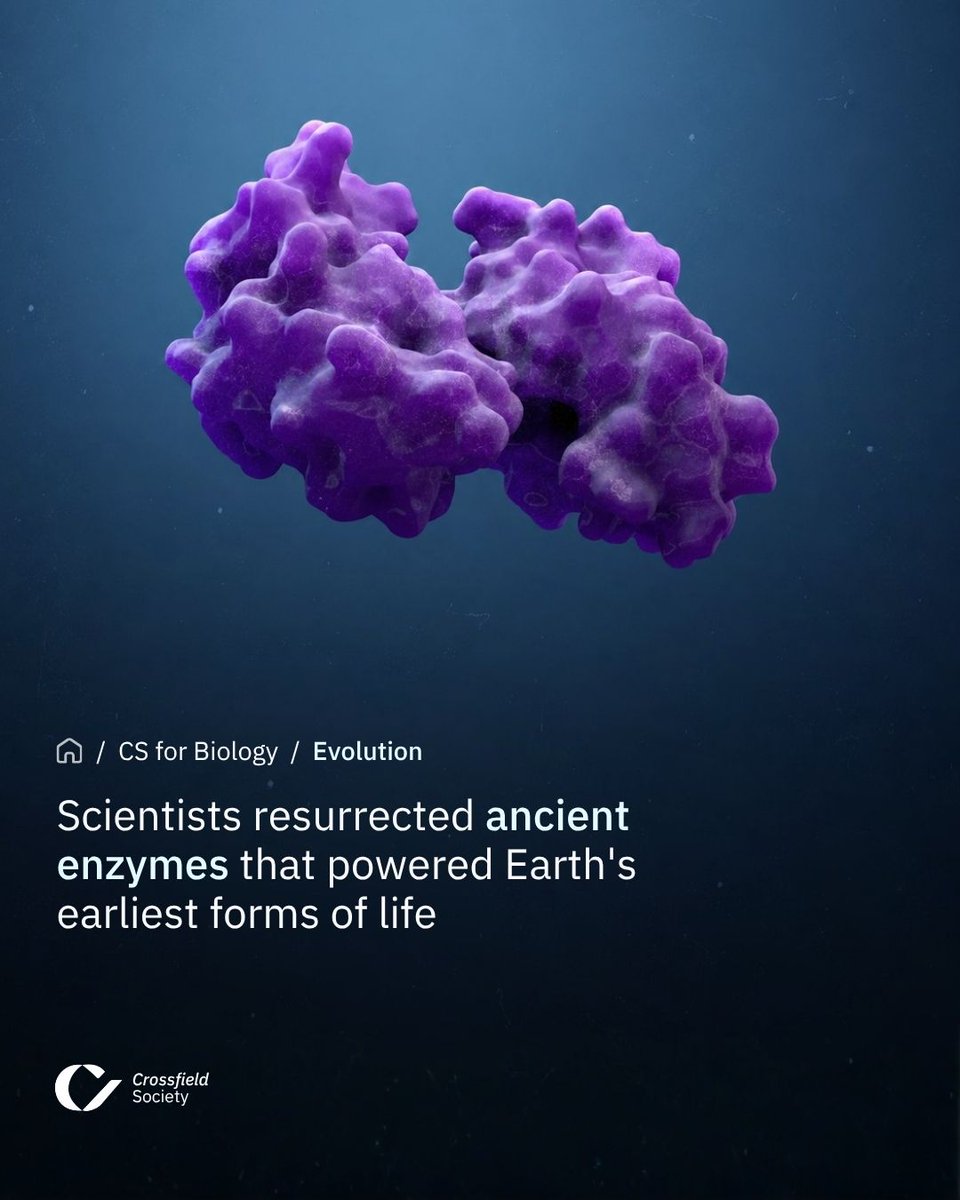 CSBIOGlobal's tweet photo. Scientists reconstructed ancient nitrogen-fixing enzymes from organisms that lived approximately 3.2 billion years ago, providing new clues about the origins of life on Earth.
#Science #OriginOfLife #Astrobiology https://t.co/7emygBRkru