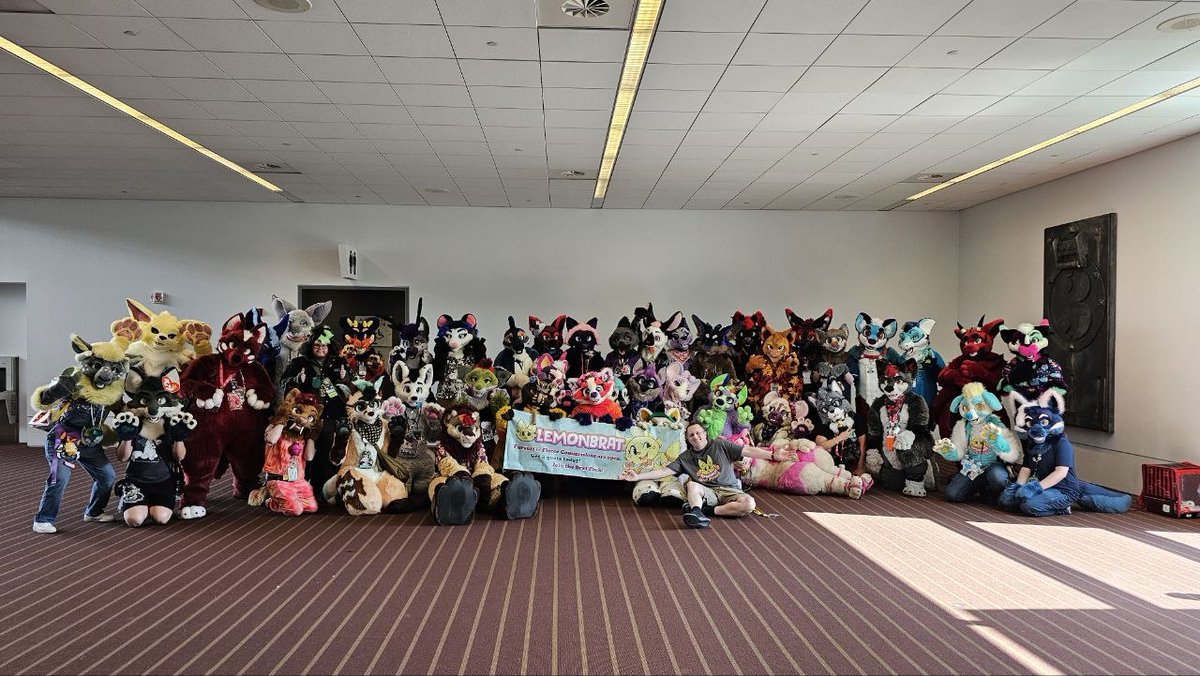 lemonbrat's tweet photo. https://t.co/H7RRYofGNc