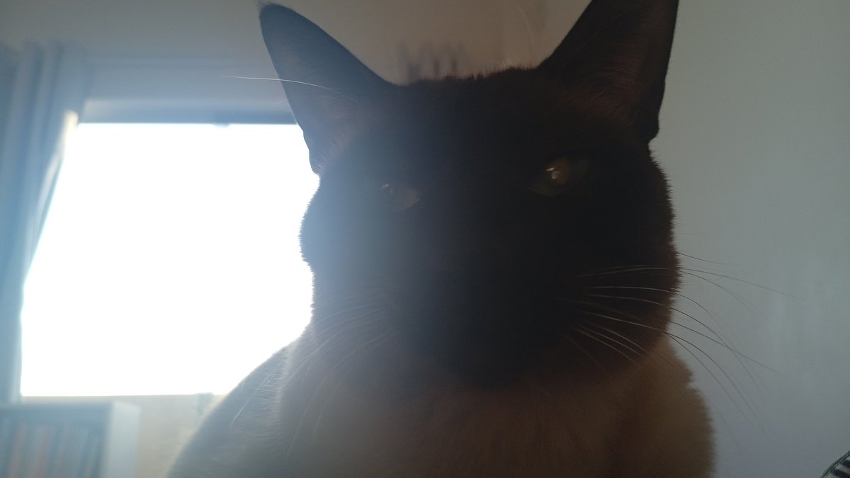 Creeporolys's tweet photo. @alleyrat0 Counter attack, sending pics of mine https://t.co/KnybBjdoBT