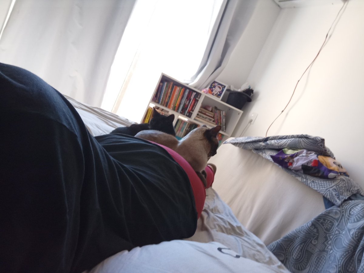 Creeporolys's tweet photo. @alleyrat0 Counter attack, sending pics of mine https://t.co/KnybBjdoBT