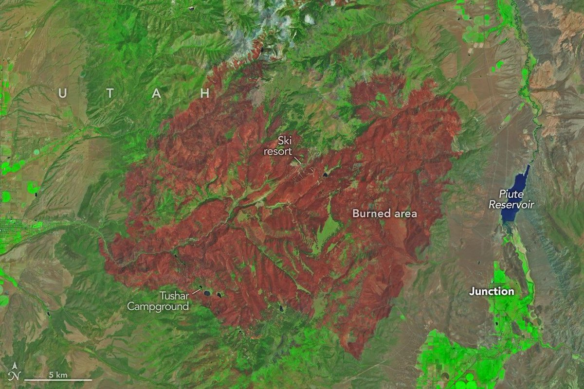 NASA Earth tweet media
