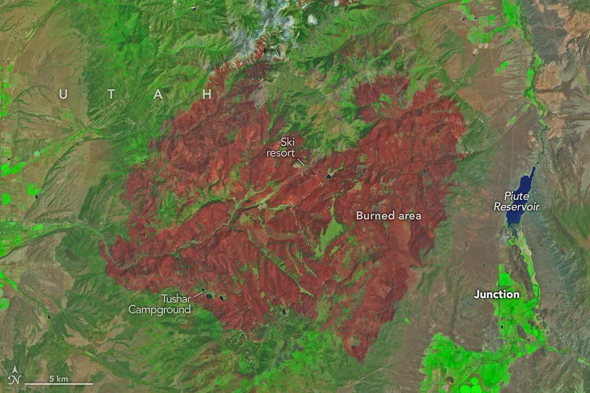 False-color satellite image showing the burned area from the Cottonwood Fire in Utah as of June 29, 2026. There is a bright red area, indicating the burned area, to the west of Junction, Utah. Around it, the land is bright green to show unburned vegetation. Credit: NASA