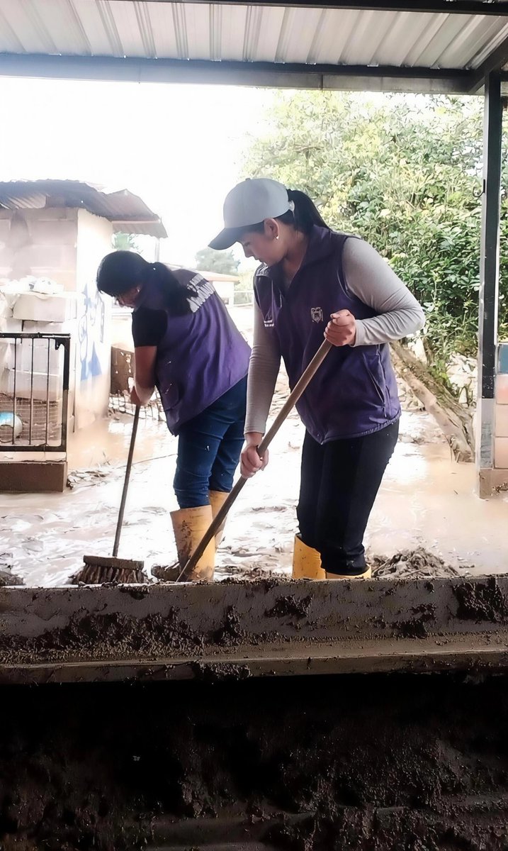 goberzamora's tweet photo. 🧹🪣 ¡Presencia y acción! 

Personal de la Gobernación se encuentra desplegado en el barrio #CantzamaBajo, ejecutando mingas masivas de limpieza en las viviendas afectadas.

Con acciones en:

✅ Remoción de lodo y escombros acumulados. https://t.co/YhNV0lNIZR