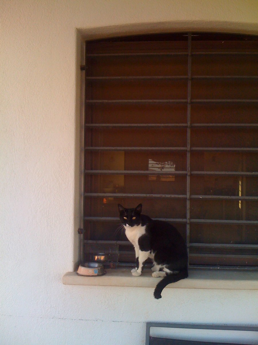 pixelsareboring's tweet photo. made with the original iPhone, unedited https://t.co/tXPoZRYCcw