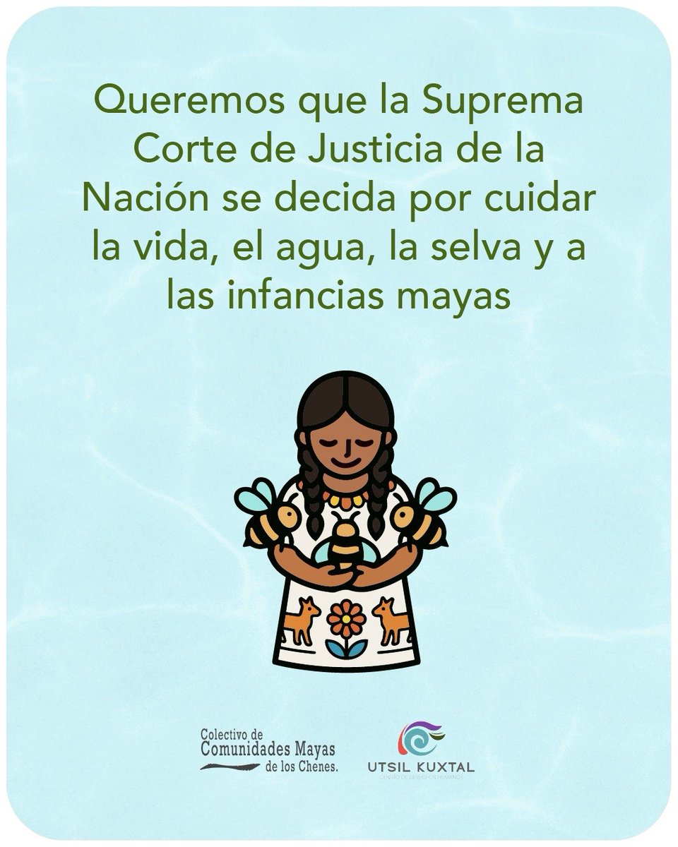 ColectivoMayas's tweet photo. Hoy, la @SCJN tiene la oportunidad de atraer 3 casos que serán importantísimos para que la península maya  tenga acceso a la justicia.
Nosotros ya decidimos qué península SÍ queremos, ¿la Corte elegirá también ese camino? https://t.co/VK4M4kJbMJ
