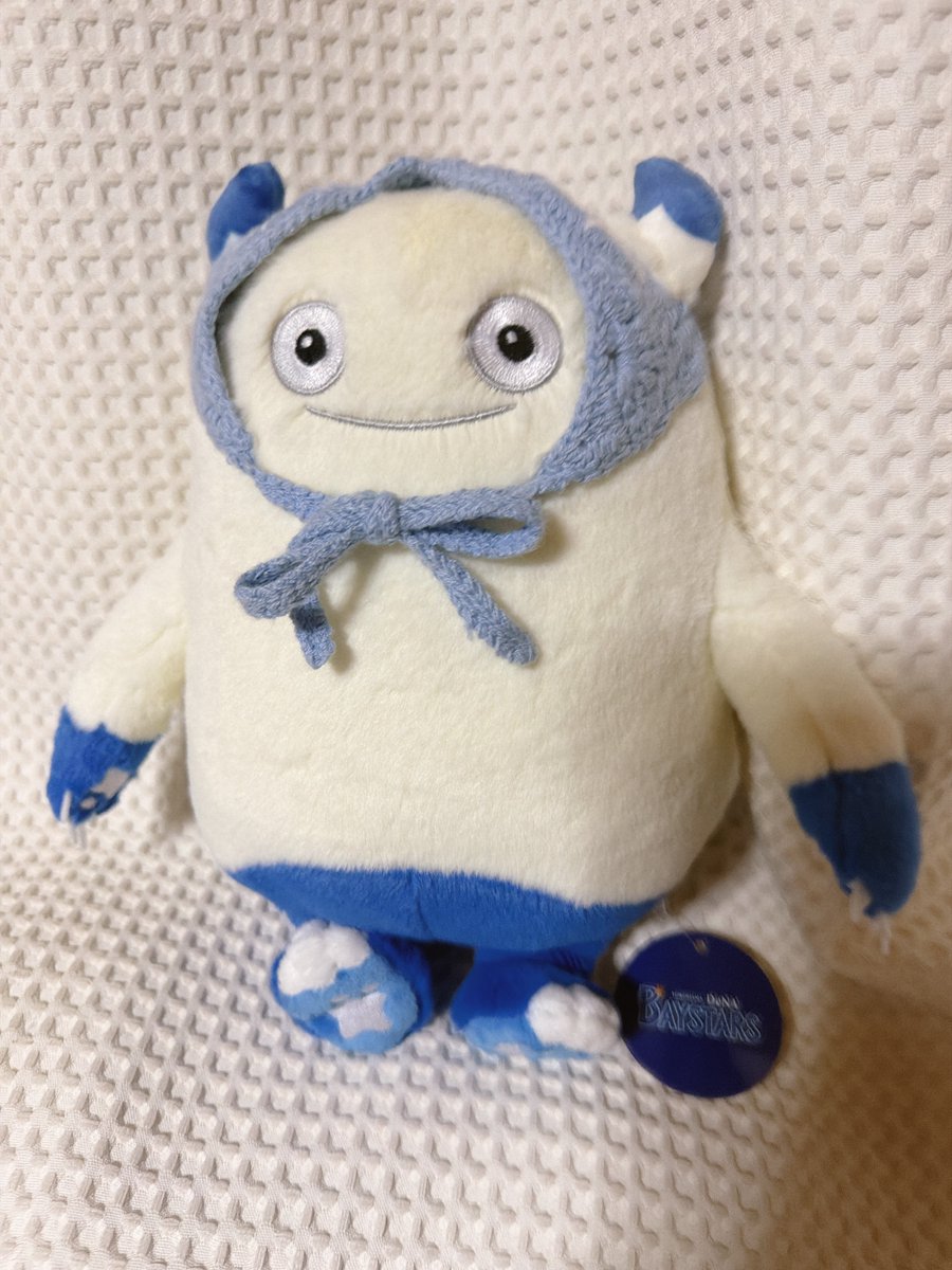 b_hananoto's tweet photo. バートさんをガチャガチャのバブーシュカ(猫様用)でおめかししてみました☺️ https://t.co/O7bBhPGIeM