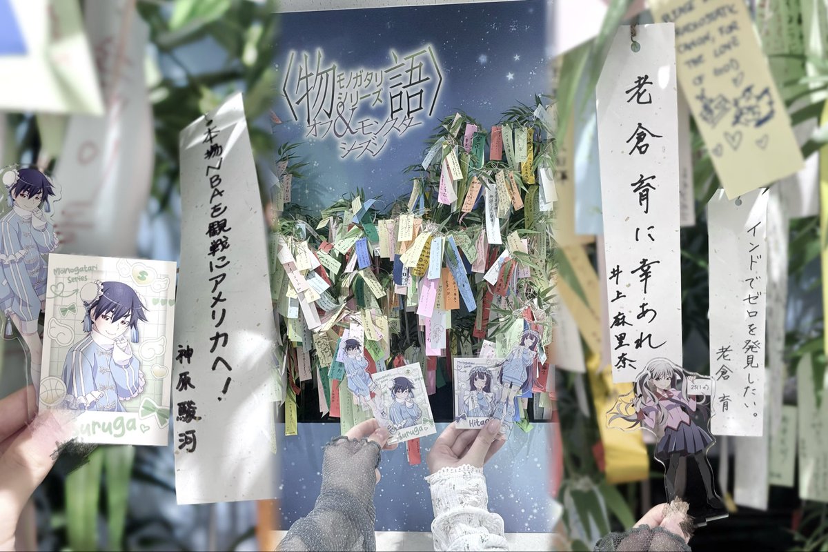 0l_2o_'s tweet photo. 同期（👈🏻）のいず（@i0_ayn）と #物語七夕祭2026 見てきた〜🎋💘 今までずっと地方住みでTwitterで見るしか出来なかったのではじめて実際に見に行けてとっても嬉しかったですT ˙̫ T ❤︎ 今冬のアニメ続編も9月の新刊も今から楽しみすぎて本当に生きる希望💭🌟 #物語シリーズ https://t.co/Gxo4WM2RGH