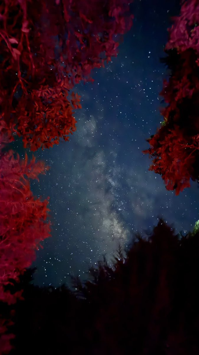 EdenBrun's tweet photo. Una parte del Universo visto desde Nabusimake a las 10 de la noche. https://t.co/1JeS1shWnM