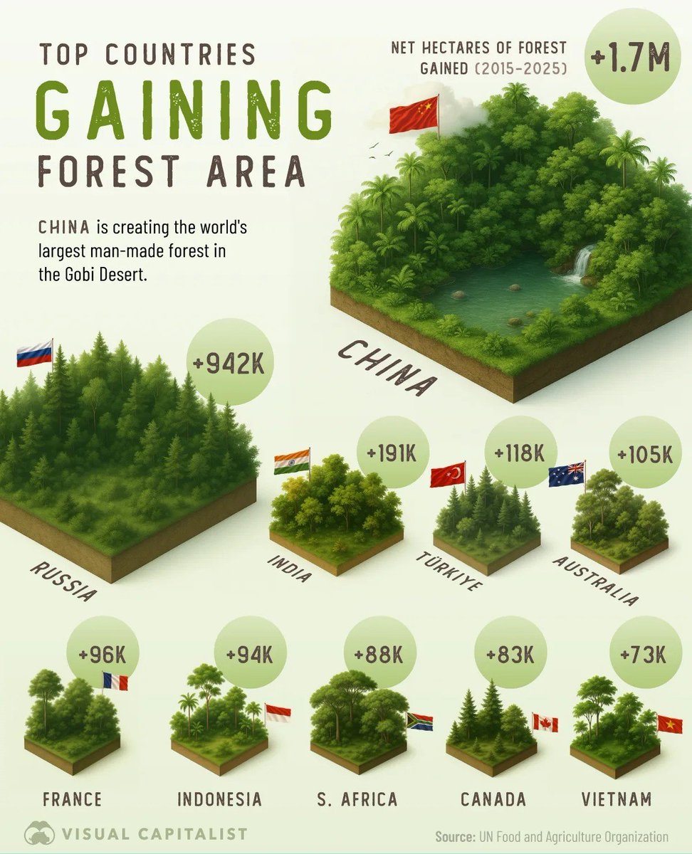 Civixplorer's tweet photo. 🌲 Countries that gained the most forest in the last ten years. https://t.co/IPy7Eip2DG
