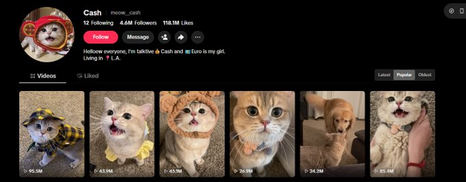 mintmaxxerfreak's tweet photo. On this exact dev wallet I was the first one to ever bond Cash 

The most viral cat on tiktok with nearly 5m followers

Cash is a perfect cat to run on pump to counter cashcat on Robinhood

Insanely viral look at the numebrs

https://t.co/4FEUqhx9nz https://t.co/EvcpT2viTk
