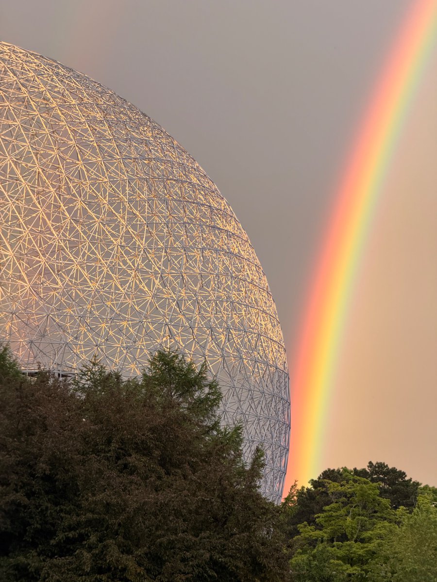 _emilio444's tweet photo. @Montreal After witnessing this: 😍 https://t.co/TWlonvOy58