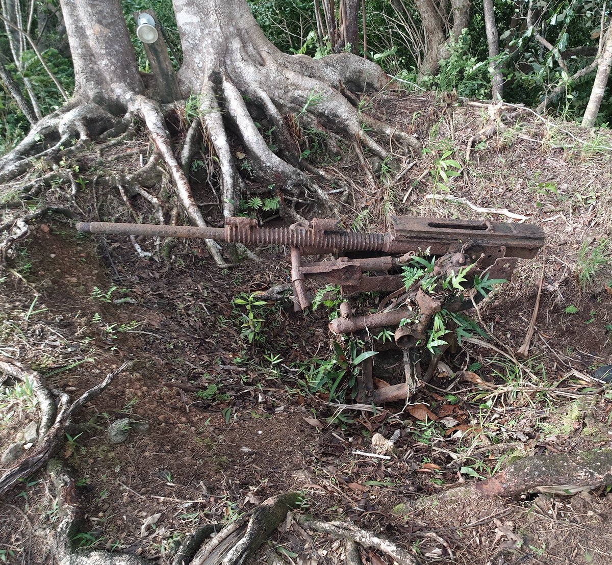 sam9150's tweet photo. アラカベサン島にあるキャロライナリゾートさんの中にある対空陣地、75mm高射砲？とか25mm単装機関砲？とかが配置され、連結した壕の構造ごとのこってて圧巻でした。
#ペリリュー島ツアー https://t.co/QYoWrdg1Kb