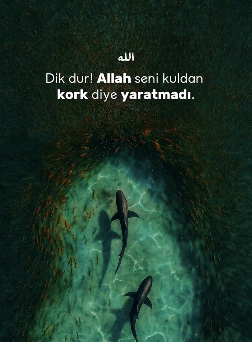 derinbirneffess's tweet photo. https://t.co/zXqvl3Hhpa