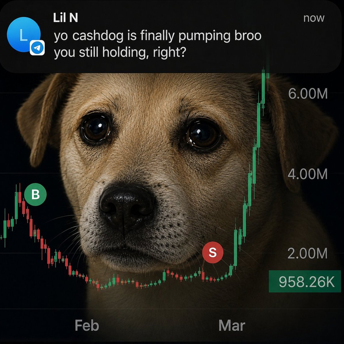 CashdogRBH's tweet photo. Send this to your friend that sold the dip. https://t.co/2I8IXxg0Zs