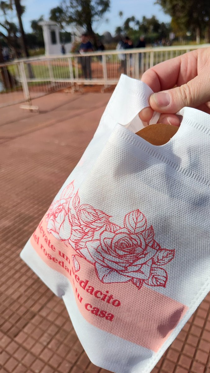 ArquitectoxHora's tweet photo. Para los amantes de las #rosas, el Rosedal de Palermo entrega esquejes de la poda hoy y de lunes a miércoles de 9 a 17 hs
Querés tener un rosal del rosedal gratis? Es tu oportunidad 

#TwitterEsServicio https://t.co/Tp8vmPrOy9