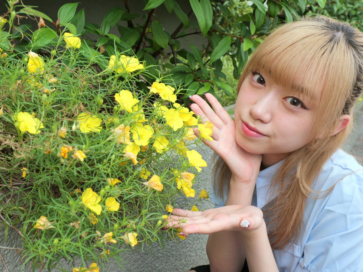 IdolAcademy358's tweet photo. #あかねがみる

#ファインダー越しの私の世界ᅠ
#キリトリセカイ

@akane_hns https://t.co/N77zmCzqcI