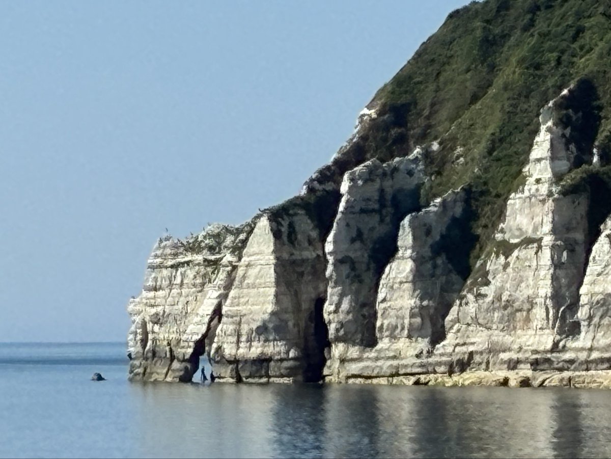 ChrisSladenPhD's tweet photo. Spent a few hours this morning trying to map out non-sequences and hard-grounds, as well as faults and shears in the Chalk formations. https://t.co/vvC8luxxv9