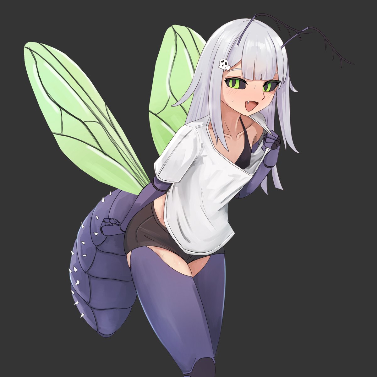 bugseid's tweet photo. My favorite legally distinct fly https://t.co/00svdFrJie