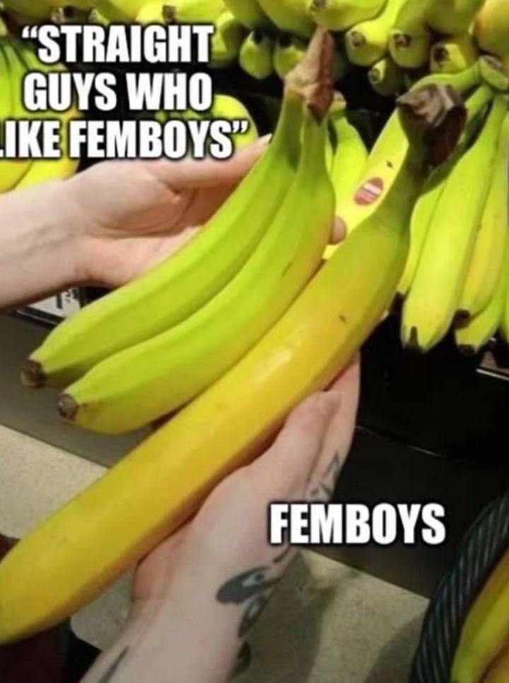 The Femboy Order tweet media