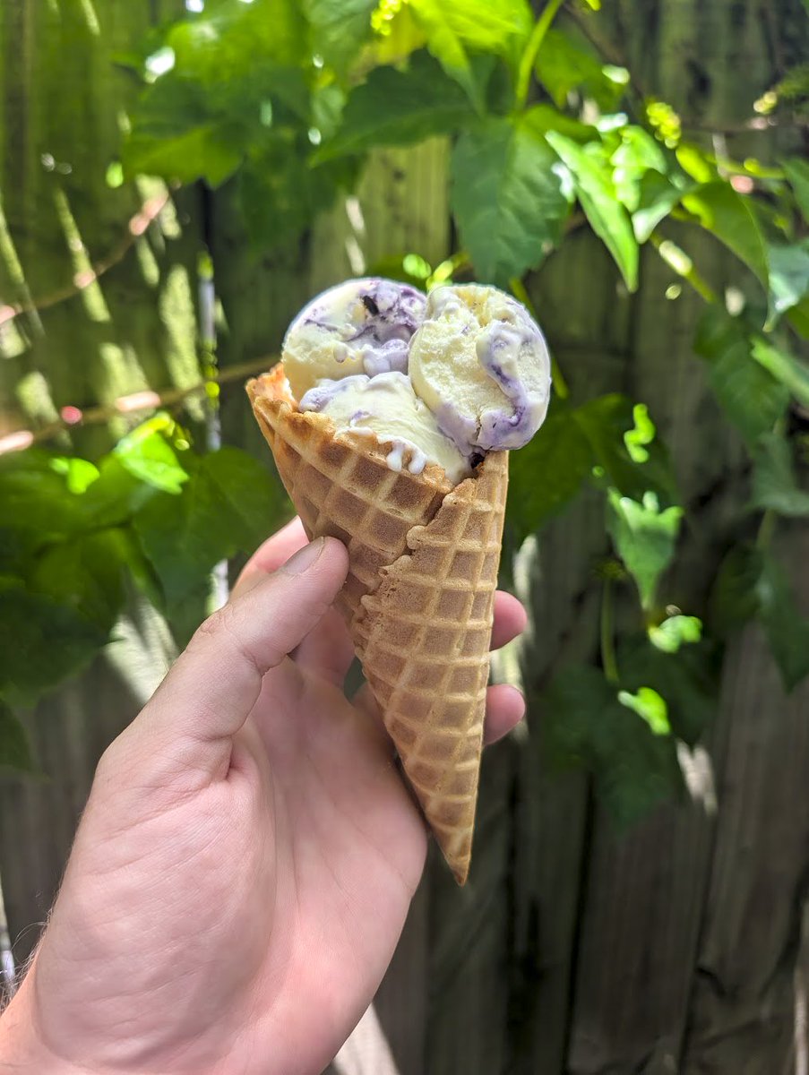somethings_awry's tweet photo. Blueberry basil goat cheese ice cream https://t.co/USDK4iMRp1