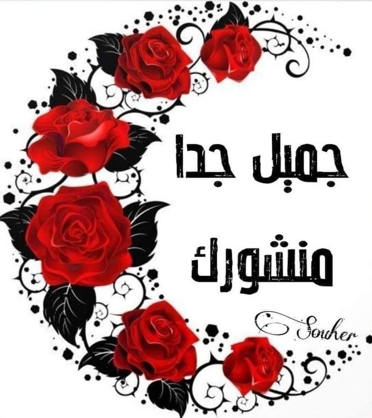 BadjiMiloud's tweet photo. @Ebc2buBa2b1ink1 رب يحفظك https://t.co/dEaVTItLno