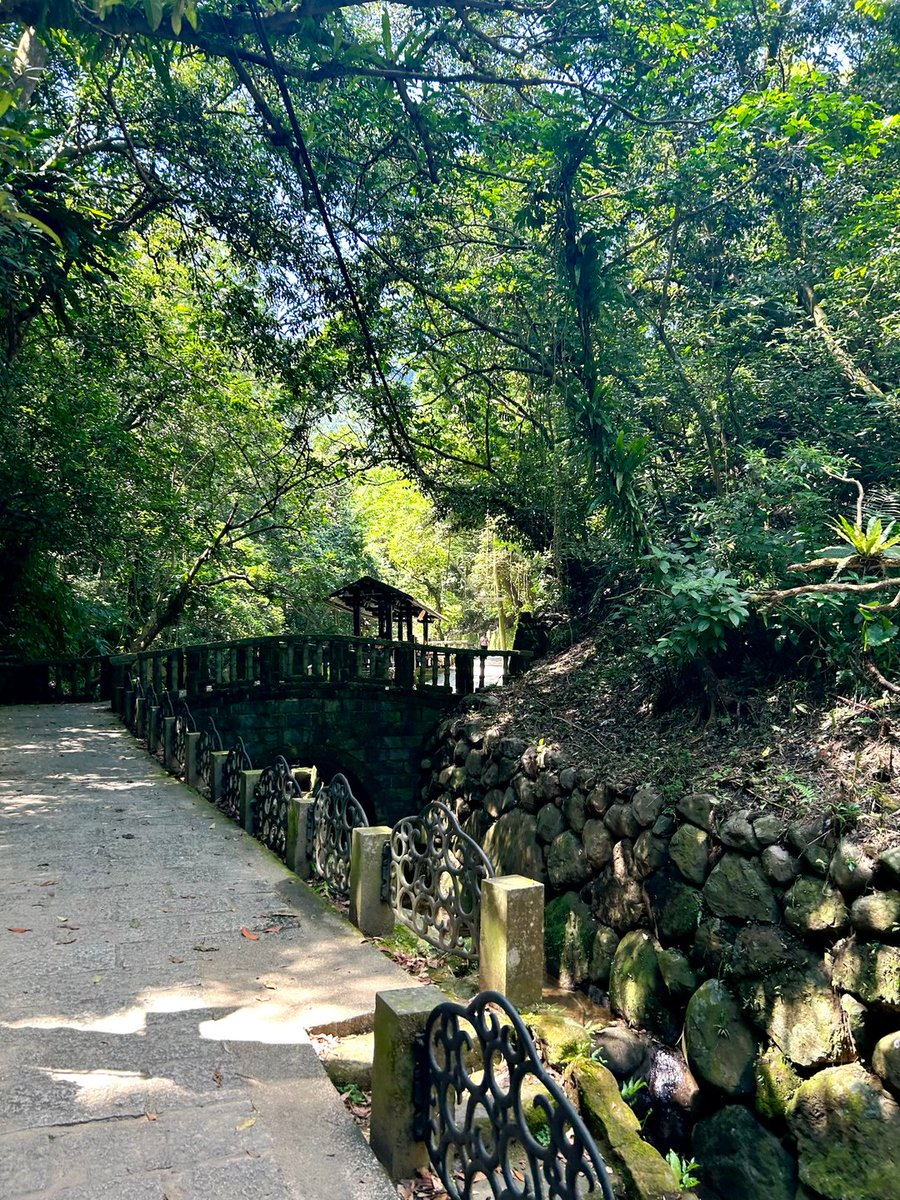 Hikar1iDays's tweet photo. 台北の虎山歩道で、のんびり散歩しながらリラックス https://t.co/1KEJi314fI