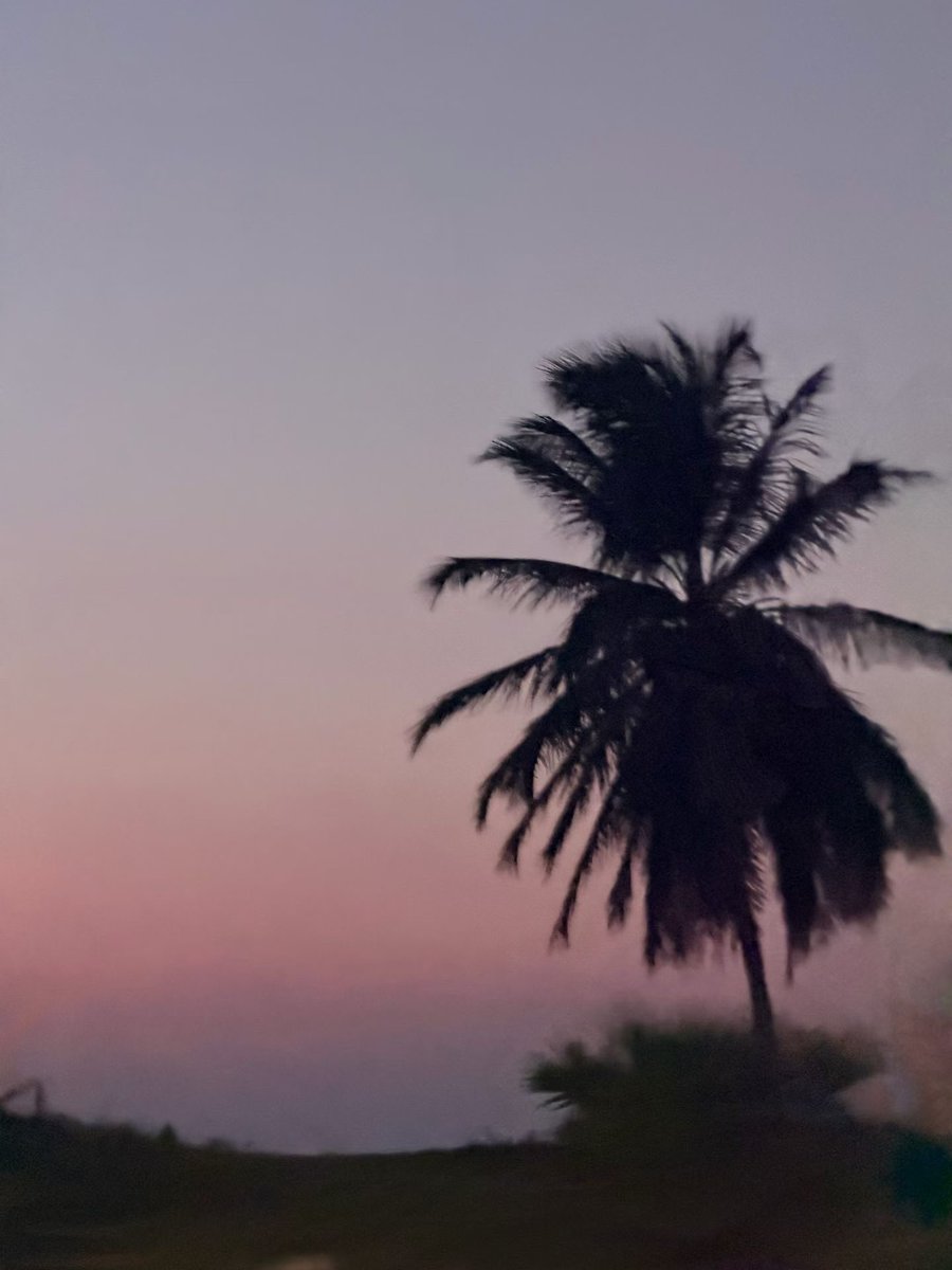 wangliubao66's tweet photo. 🥥🌴每次旅行都爱这个世界多一点耶 https://t.co/c6QFNMXZZv