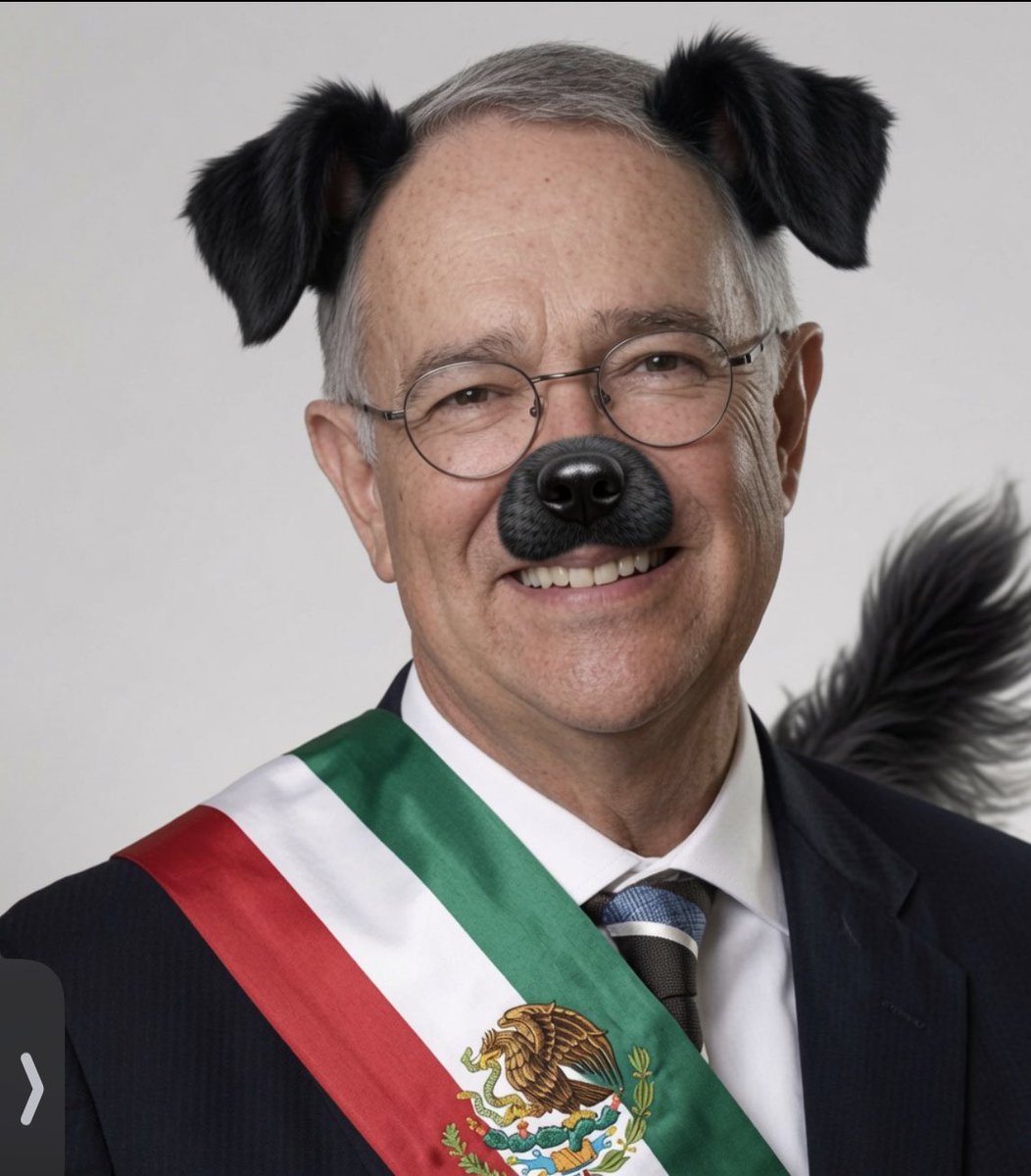AliciaJ86958882's tweet photo. Vaya mierda de embajador que tuvimos en México. Propaga en su librito de mierda ken salazar 🤮 que no le consta, pero la perra de trum le dijo que ENLO tenía vínculos con el narco. 💩💩 https://t.co/bywv58qQSs