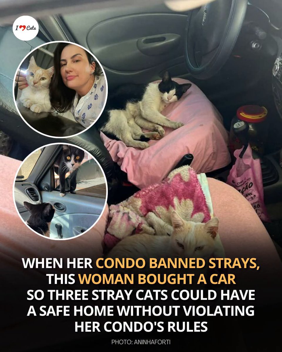 coffeededo_o's tweet photo. The world needs more people like her https://t.co/59xFZa7glA