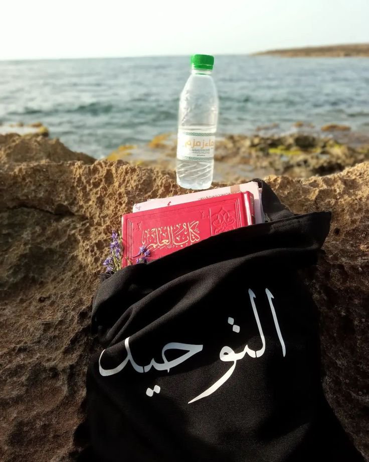Salafiya_M's tweet photo. قال الشيخ ابن تيمية رحمه الله:

هو الإقبال على الله وحده والإعراض عما سواه. وهو الإخلاص الذي ترجمته كلمة الحق والكلمة الطيبة: (لا إله إلا الله) اللهم ثبتنا عليها في الدنيا والآخرة.

مجموع الفتاوى (٩/٣١٩) https://t.co/CaNyf9uzwt