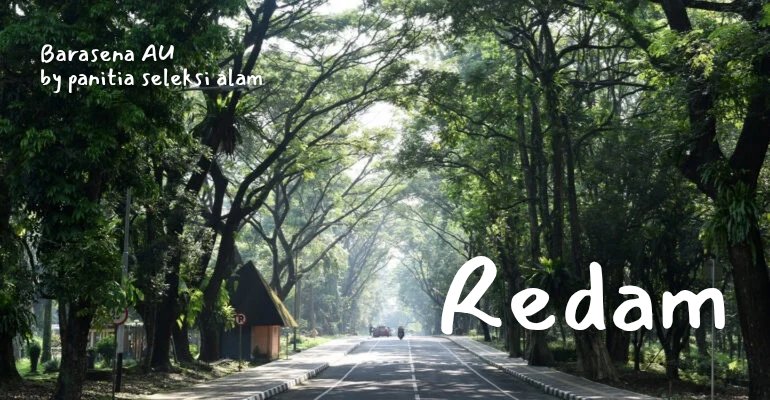 panitia seleksi alam tweet media